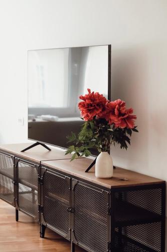 Central Apartment Maisterにあるテレビまたはエンターテインメントセンター