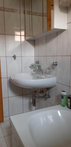 a bathroom with a white sink and a mirror at Apartman BAGI in Kiseljak