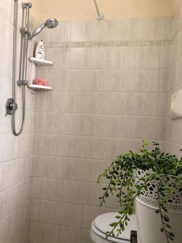 a bathroom with a shower with a toilet and a plant at A Uardia in Tora