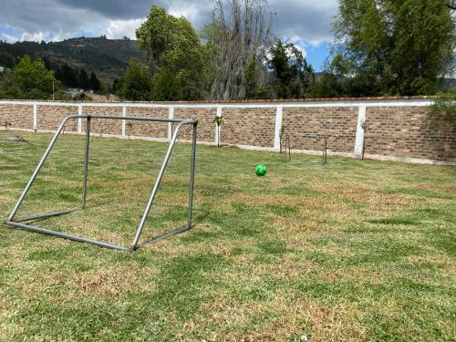 eine Fußballkugel, die auf dem Gras neben einer Ziegelmauer sitzt in der Unterkunft Cabaña con excelente ubicación y zona verde. in Iza