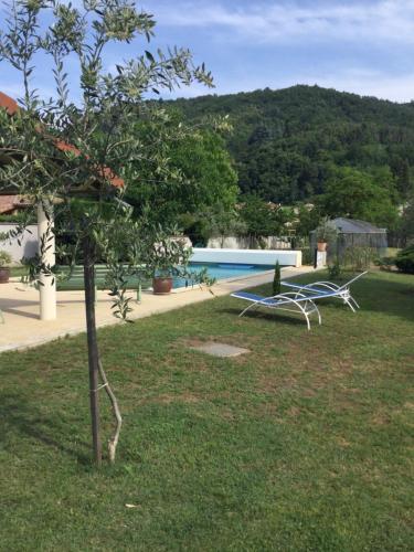 un jardin avec un arbre et une piscine dans l'établissement Escapade Vallée du Doux, à Tournon-sur-Rhône