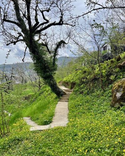 a path on a hill with a tree and flowers at Woodhide - Cottages near Batumi, Georgia in Zeda Ch'khutunet'i