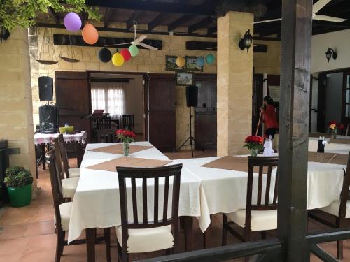 - une grande table avec des chaises et des ballons dans la chambre dans l'établissement Karpaz Lembusa Guest House, à Rizokarpaso