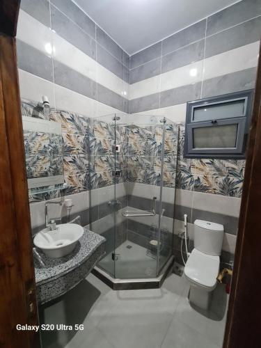 y baño con ducha, lavabo y aseo. en Moon Adam hostel en ‘Ezbet Abu Ḥabashi