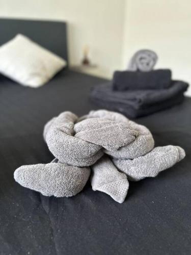 a towel is sitting on top of a bed at Villa Vista Montaña in Willemstad