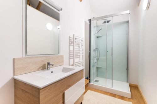 a bathroom with a sink and a shower at Château D'arry Maison de Vacance in Arry