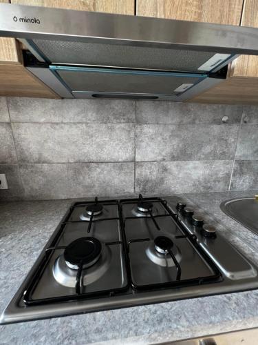 a stove top in a kitchen with a sink at Brick Apart Melnyka10 in Ivano-Frankivsʼk