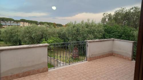a balcony with a fence and bushes and trees at Domus Claudio in Villam in Pomezia