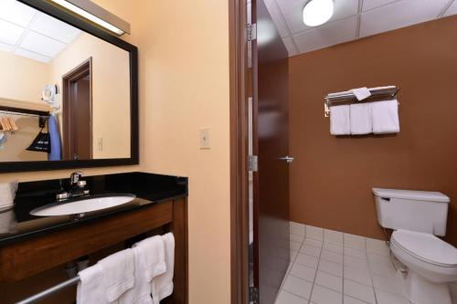 ein Badezimmer mit einem Waschbecken, einem WC und einem Spiegel in der Unterkunft Fairfield Inn and Suites by Marriott Dayton Troy in Troy