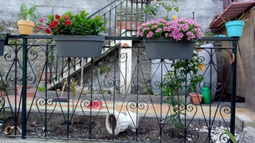 a bird sitting on a fence with flowers on it at B&B Villa Maria in Giardini Naxos