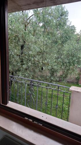 a window with a view of a tree on a balcony at Domus Claudio in Villam in Pomezia