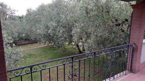 a balcony with a iron fence and a tree at Domus Claudio in Villam in Pomezia