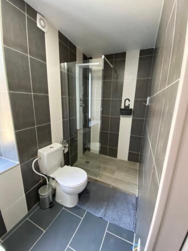 a bathroom with a toilet and a shower at Gîte au bord d’une rivière ! in Soultzeren