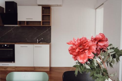 Central Apartment Maisterにあるキッチンまたは簡易キッチン
