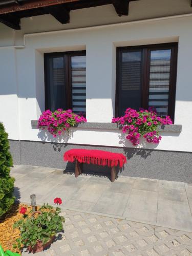 a house with two windows with flowers in the window boxes at Wellness Villa Diana in Boldogkőváralja