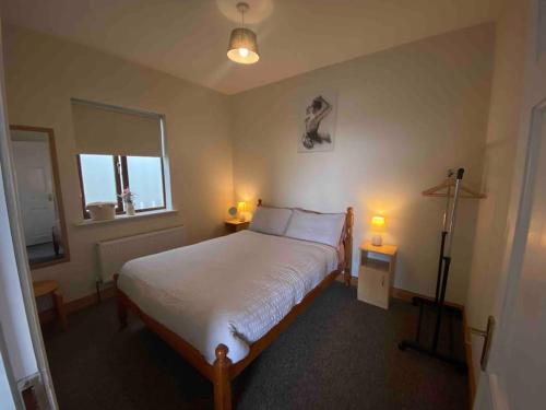 a bedroom with a bed with two lamps and a window at Shannon Breeze lodge in Kilrush