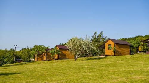 a row of wooden cabins on a grass field at Каньон in Hrushivtsi