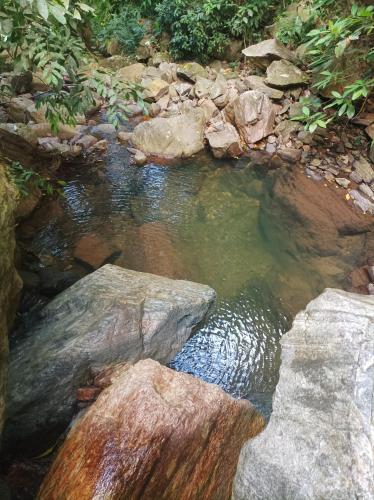 a pool of water with rocks in a creek at Finca La Selvita Chocolate experience in Buritaca