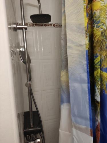 une douche avec un rideau de douche dans une salle de bain dans l'établissement STUDIO GRAU DU ROI - LES FLORALIES, au Grau-du-Roi