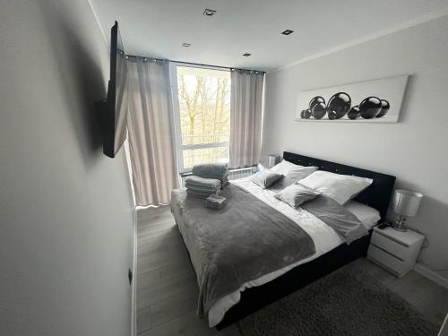 Gallery image of Ustroń Jaszowiec Apartament in Ustroń