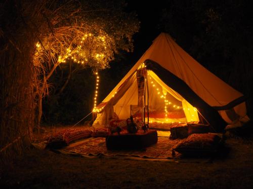 Gallery image of Butterfly Valley Beach Glamping in Oludeniz