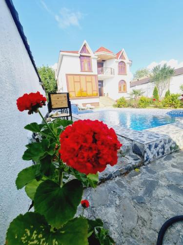 Gabala mountain slope villa – Photos 2
