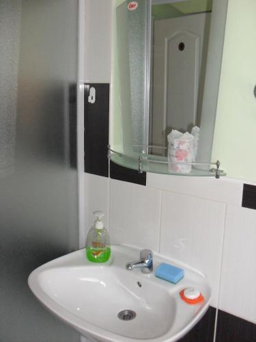 a white sink in a bathroom with a mirror at Villa Anna in Palić
