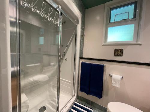 ein Bad mit einer Dusche, einem WC und einem Fenster in der Unterkunft The Rhodo Place in Coquitlam