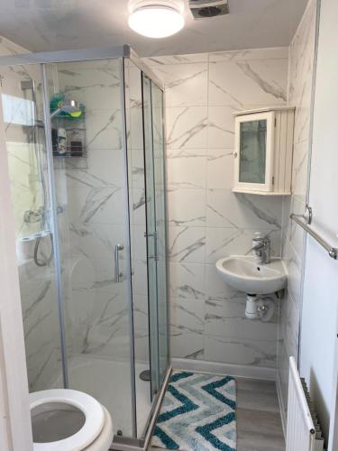 a bathroom with a shower and a toilet and a sink at Comfortable Room in Upper Norwood
