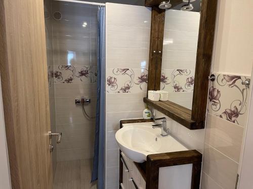 a bathroom with a sink and a shower at Apartment LIPA in Vir
