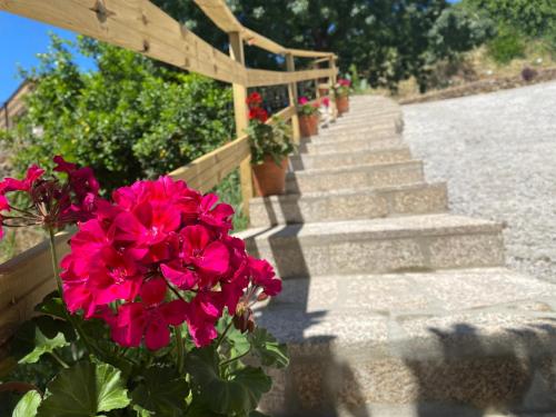 Taman di luar Las Terrazas de Chilla