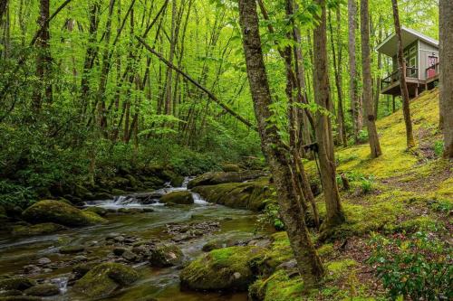 a creek with a tree house in the middle of a forest at The Owl's Perch in Robbinsville