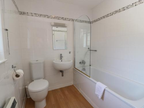 a white bathroom with a toilet and a sink at Brunston Castle Lodge in Girvan