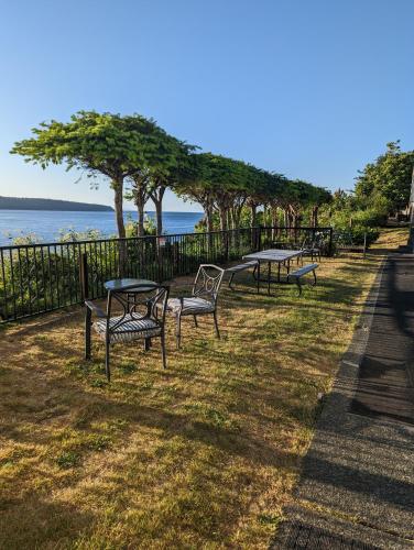 a row of benches sitting in the grass near the water at Above Tide Motel in Campbell River