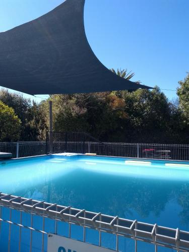 a large blue swimming pool with an umbrella at South Brighton Holiday Park in Christchurch