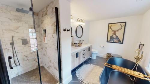 a bathroom with a shower and a sink at Wine Country Modern Farmhouse on 10 Acres and Pool in Afton