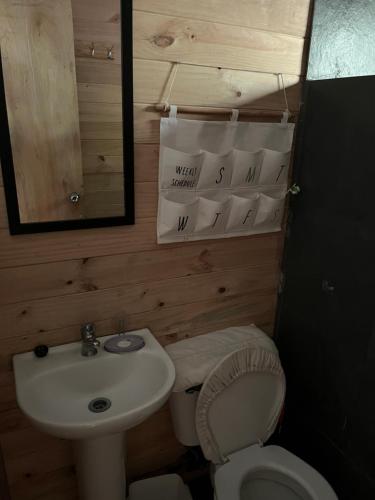 uma casa de banho com um lavatório, um WC e um espelho. em Cabañas Namoncahue em Pucón