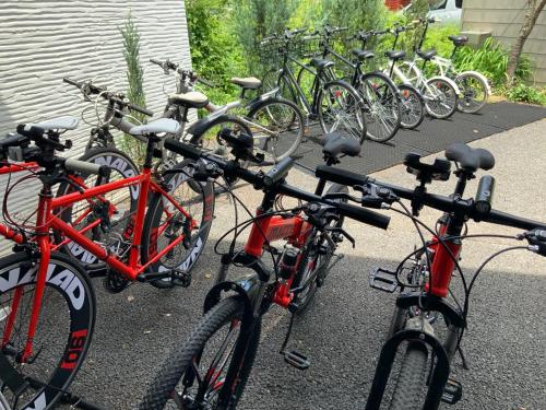 a group of bikes parked next to each other at Kakureyado Fujikawaguchiko in Fujikawaguchiko