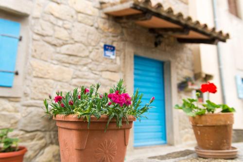 two pots of flowers in front of a blue door at House Vera in Hum
