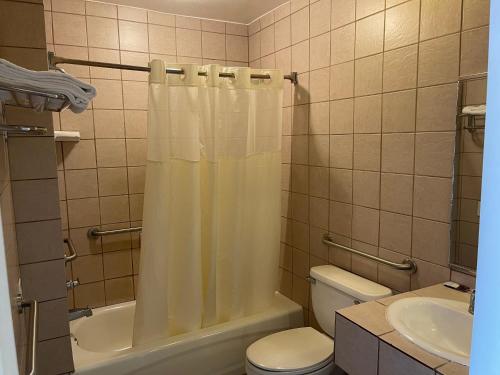 a bathroom with a toilet and a shower curtain at Kings Rest Motel in Lemoore