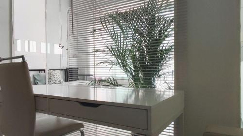 a white counter with a potted plant in front of a window at Estudio HortaBCN in Barcelona