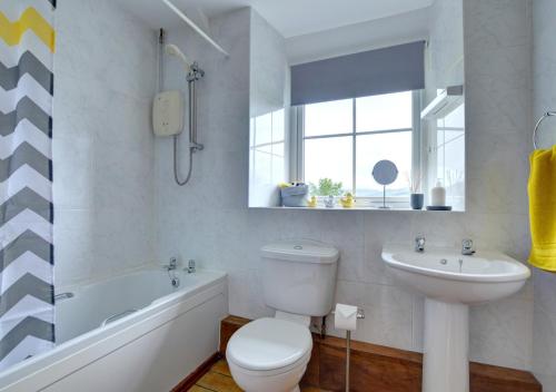 a bathroom with a toilet and a sink and a tub at Llwyniarth in Dolgellau