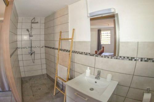 een badkamer met een wastafel, een douche en een spiegel bij bungalow avec piscine chauffée. in Saint-Joseph