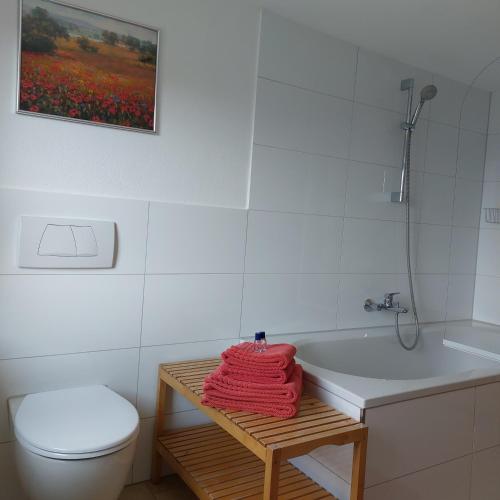 a bathroom with a white toilet and a sink at Allgäu Apartment in Memmingen