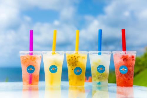 a row of four plastic cups filled with different colored drinks at Jukaitei in Kyotango