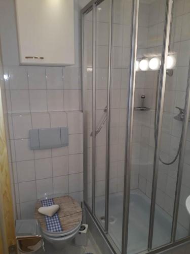 ein Bad mit einer Dusche und einem WC. in der Unterkunft Haus Widlbrandlehen in Schönau am Königssee