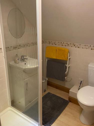 a bathroom with a toilet and a sink and a mirror at Little Nest EV Point in Wadebridge