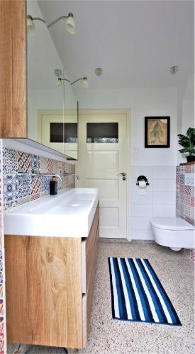 a bathroom with a large sink and a toilet at Bennebroek B&B in Bennebroek