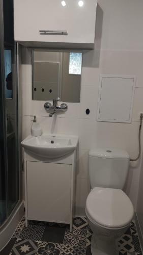 a bathroom with a white toilet and a sink at SELF CHECK-IN APARTAMENT LOTNISKO SZPITAL PARKING TARGi in Poznań
