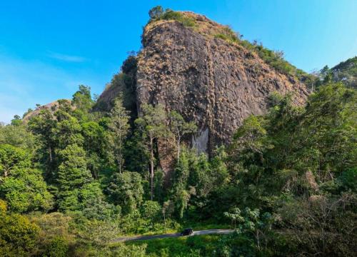 a mountain in the middle of a forest at Beyond Eco Living in Munnar